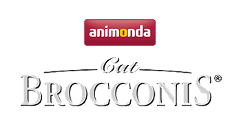 Brocconis Cat