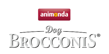 Brocconis Dog